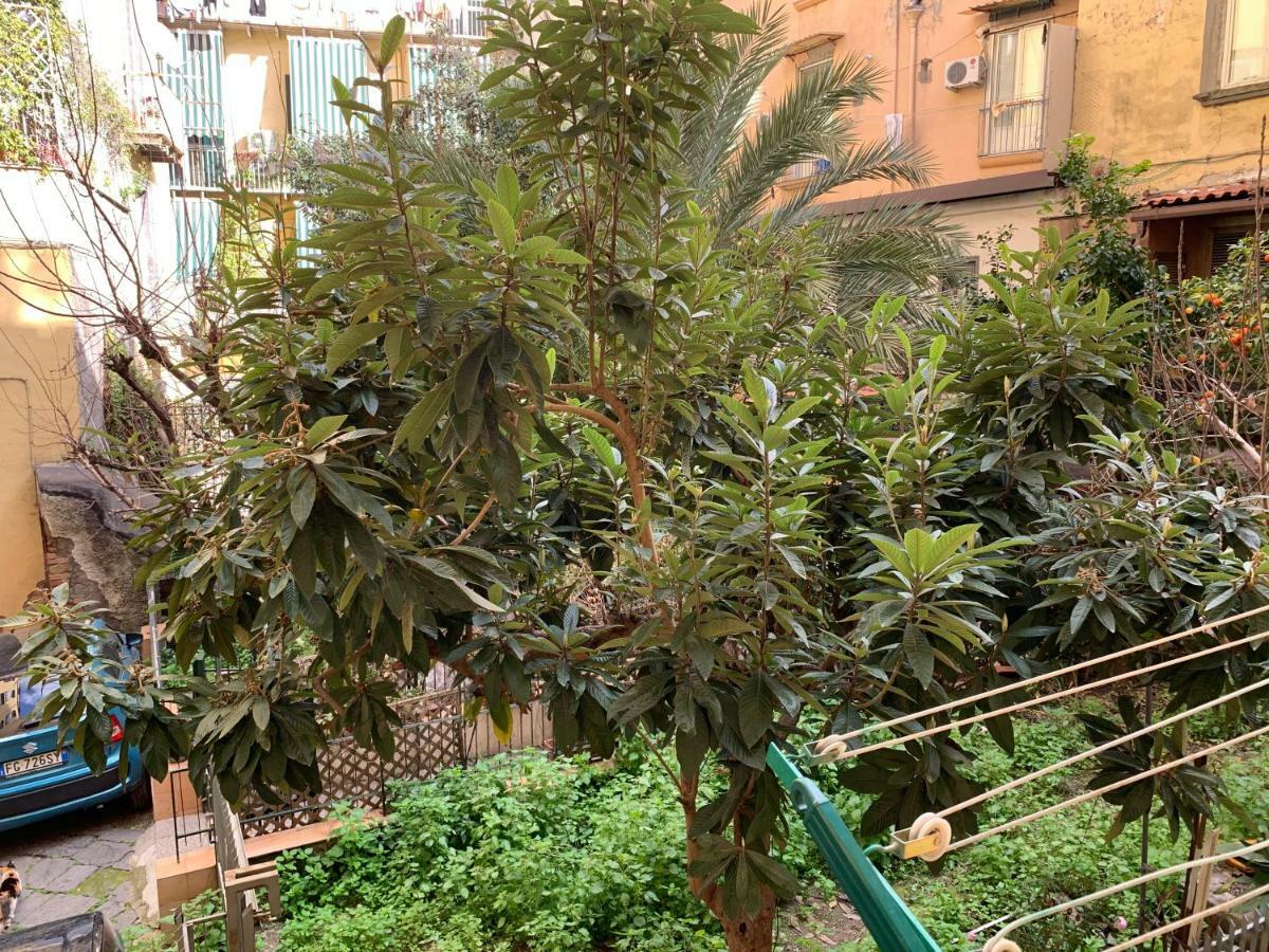 Da Ninetta Resterete Senza Parole, Garantito! Naples Luaran gambar